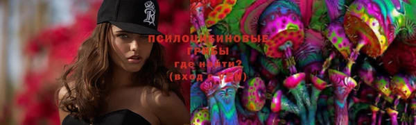 амфетамин Алексеевка