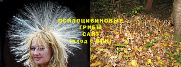 дмт Алзамай
