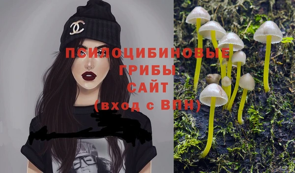 герыч Пересвет