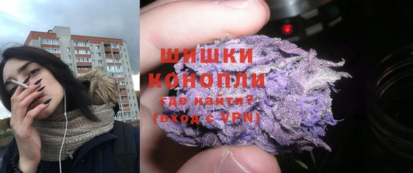 дмт Алзамай