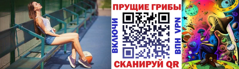 сайты даркнета формула  дарнет шоп  Куйбышев  Галлюциногенные грибы Psilocybine cubensis 