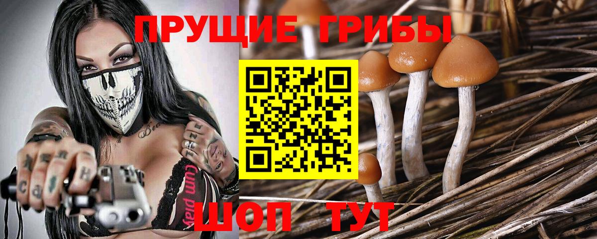 Галлюциногенные грибы мухоморы Куйбышев
