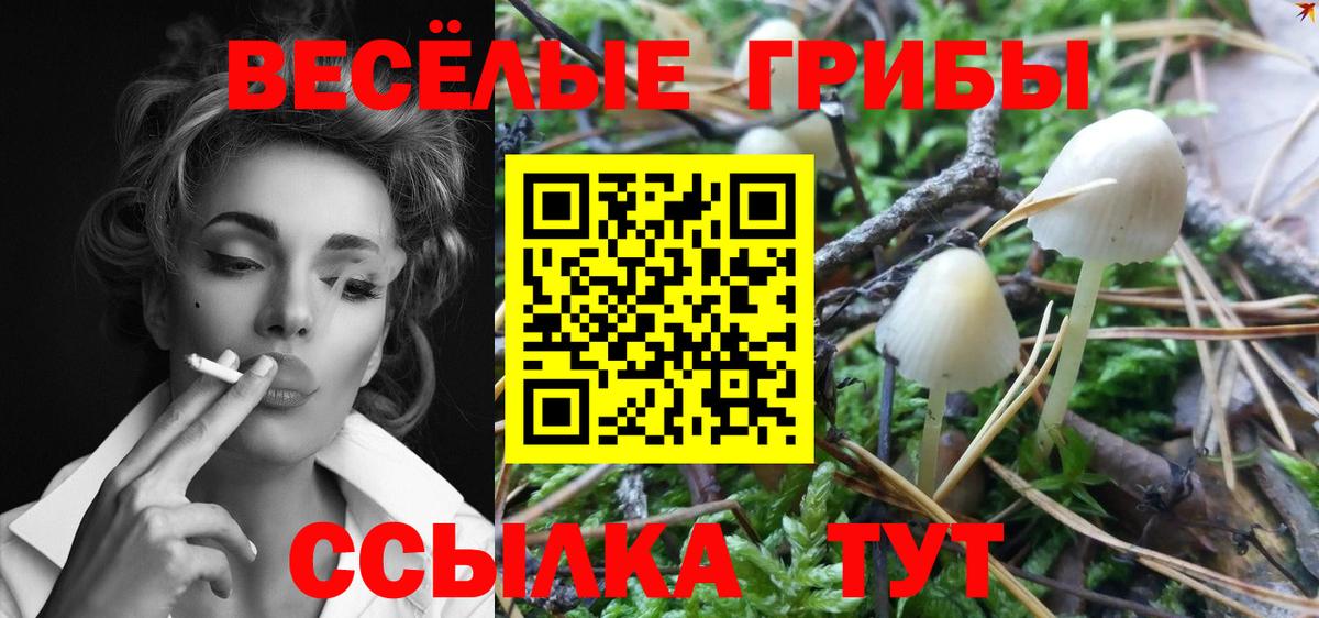 закладки  Вход с VPN  Куйбышев  Галлюциногенные грибы MAGIC MUSHROOMS 